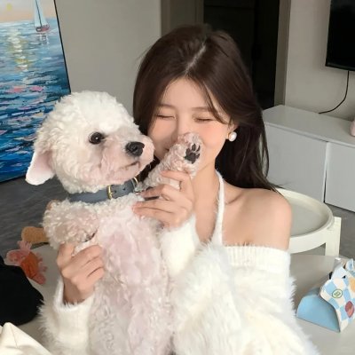 狐狸猎手 海报