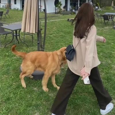 失去的爱 海报